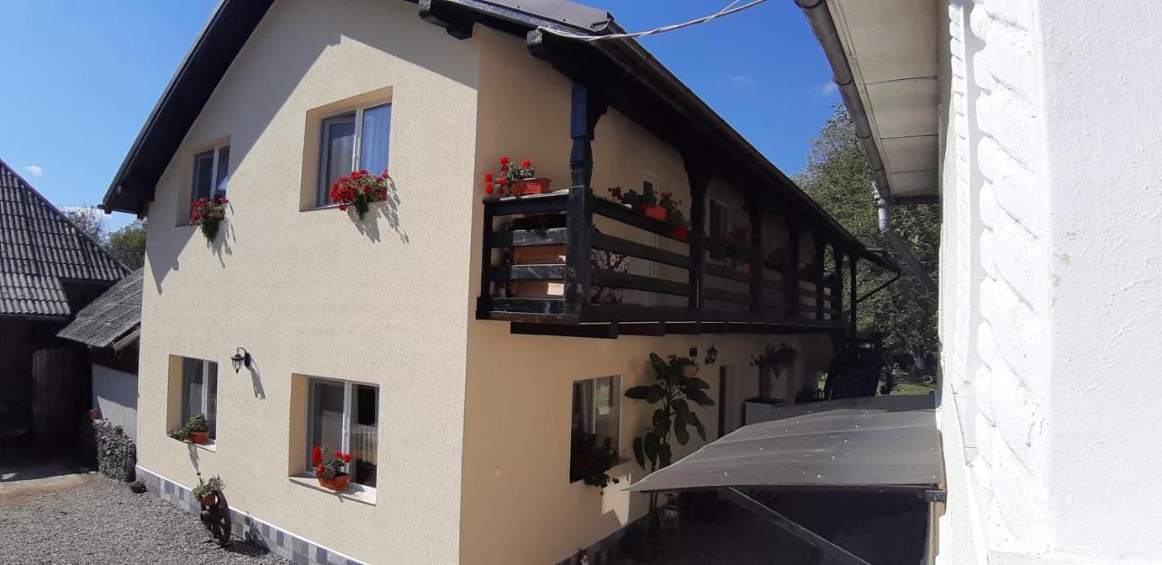 Pensiunea Casa Godja Văleni Εξωτερικό φωτογραφία