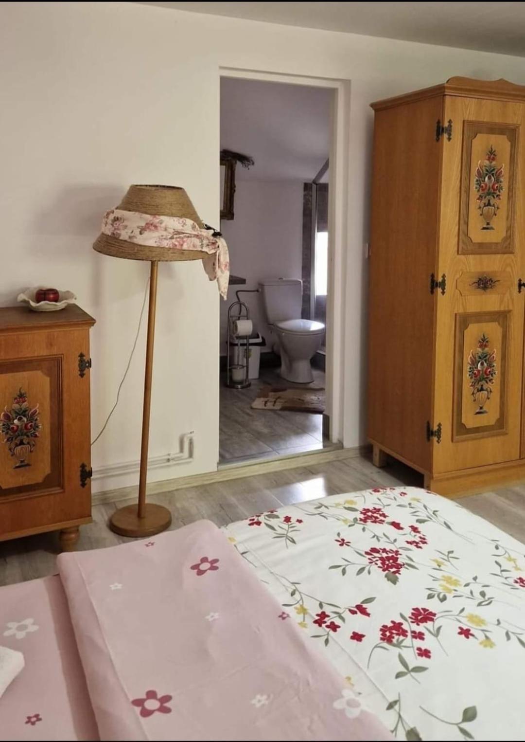 Pensiunea Casa Godja Văleni Εξωτερικό φωτογραφία