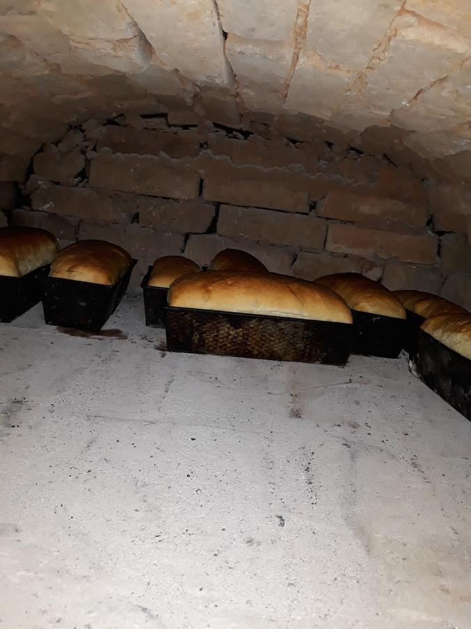 Pensiunea Casa Godja Văleni Εξωτερικό φωτογραφία