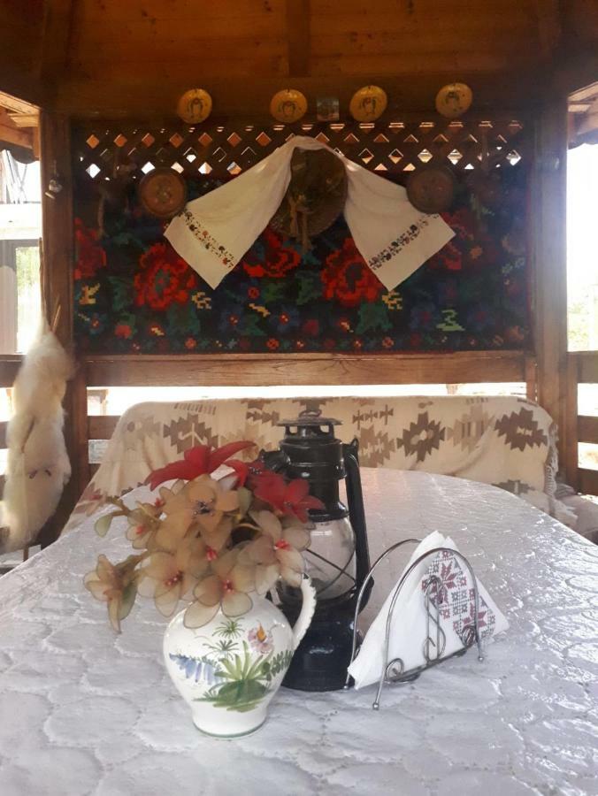 Pensiunea Casa Godja Văleni Εξωτερικό φωτογραφία