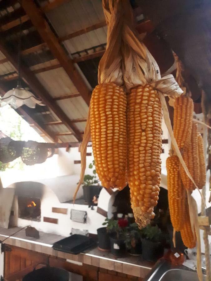 Pensiunea Casa Godja Văleni Εξωτερικό φωτογραφία