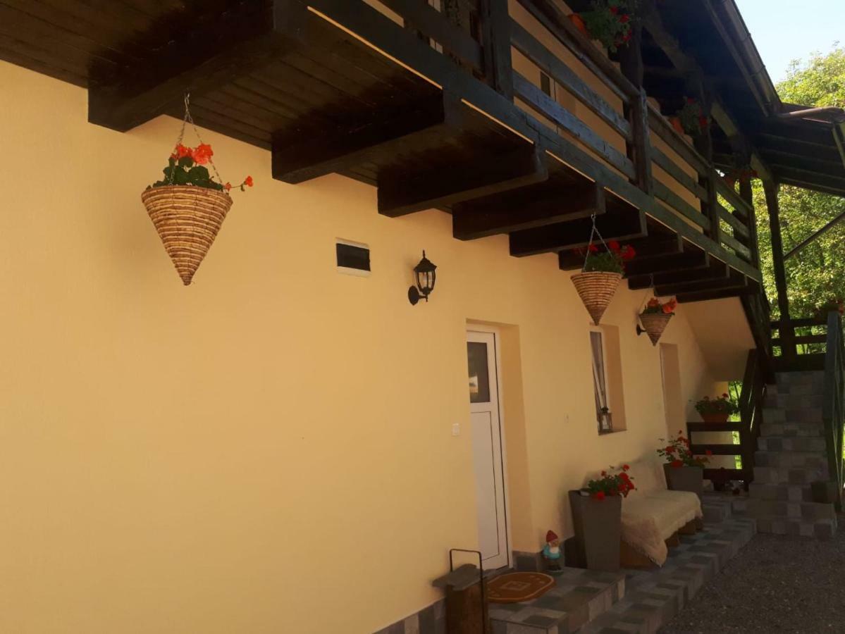 Pensiunea Casa Godja Văleni Εξωτερικό φωτογραφία